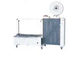 /chanpinzhongxin/zhinenbaozhuangshebei/zidongdabaoji/35.html