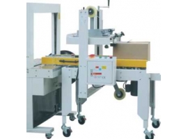 /chanpinzhongxin/zhinenbaozhuangshebei/zidongfengxiangji/29.html